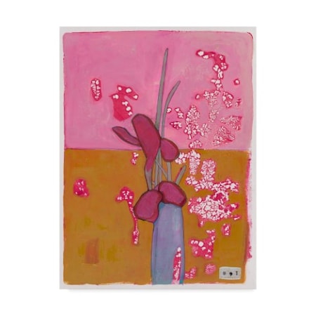 Maria Pietri Lalor 'Angel Hair Pink' Canvas Art,35x47